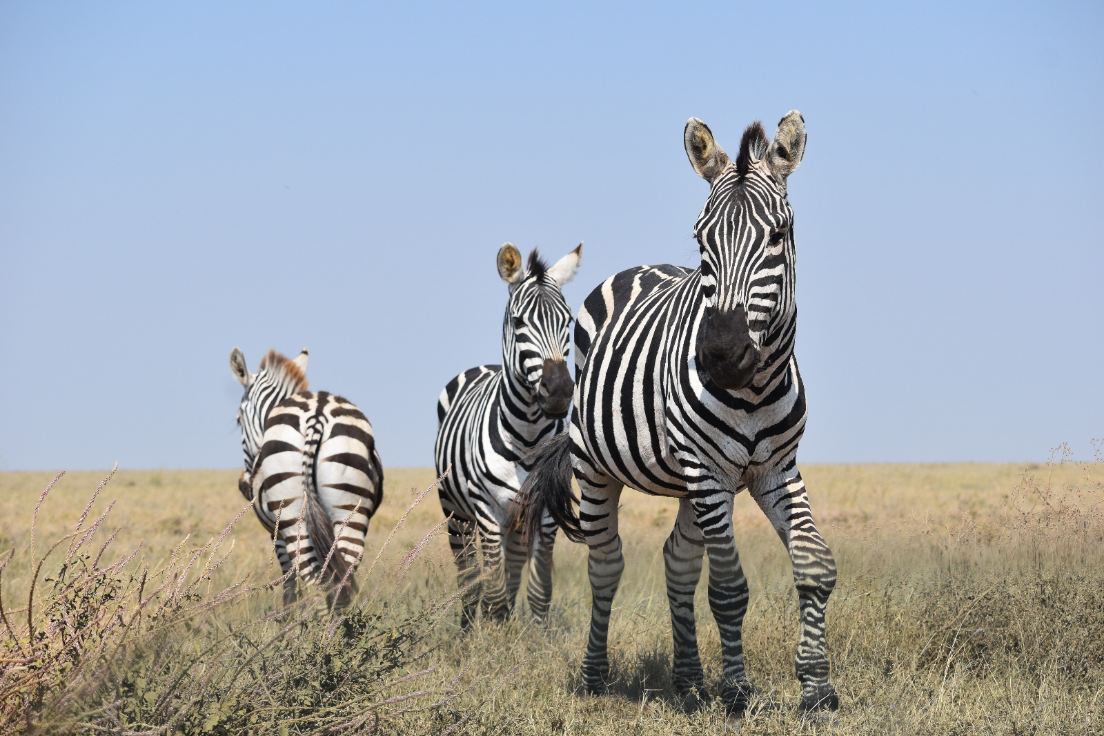 Arusha National Park