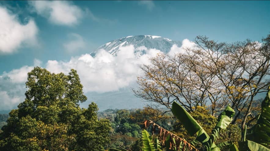 Mount Kilimanjaro