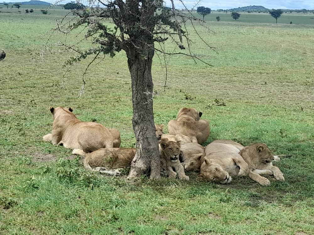 Serengeti National Park