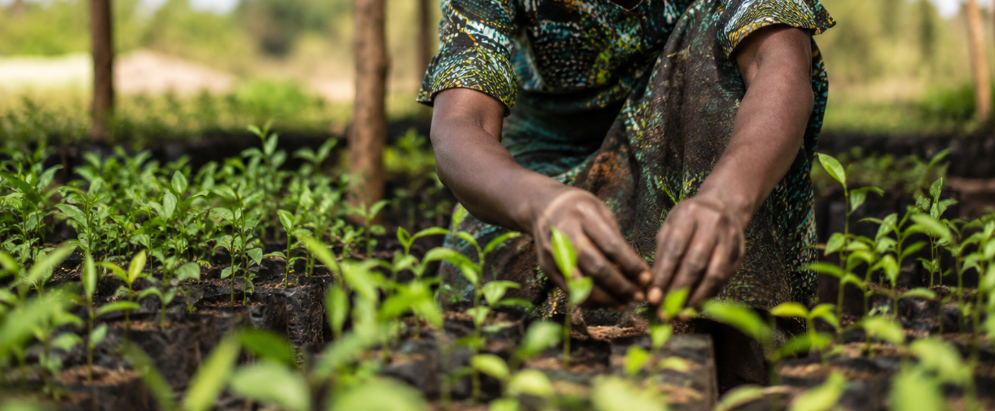 Sustainability